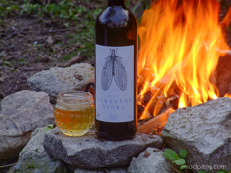 Trójniak Sambucus Nigra - z kwiatem bzu - The Big fellow Meadery