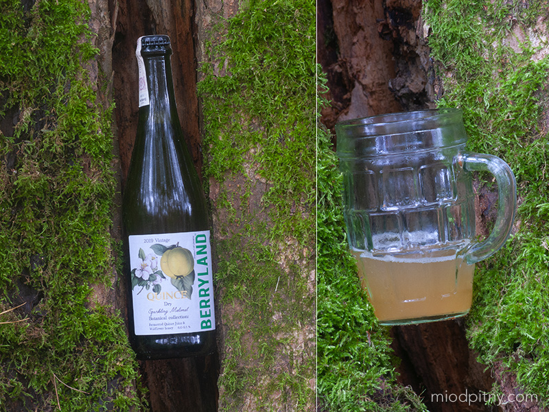 Quince Sparkling Mead 2019 Vintage - Miód pigwowy, musujący