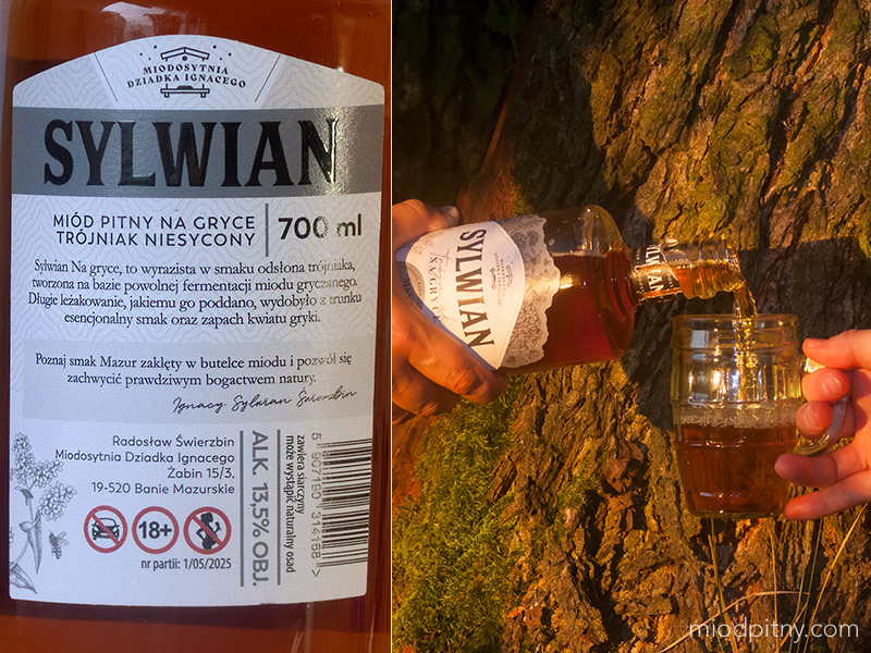 Trójniak Sylwian na gryce