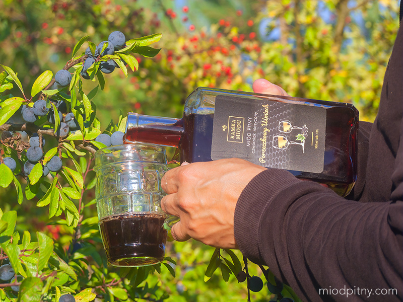 Czwórniak Porzeczkowy uśmiech